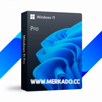 Microsoft Windows 11 Pro
