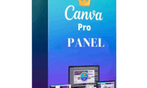 Panel de administración de Canva